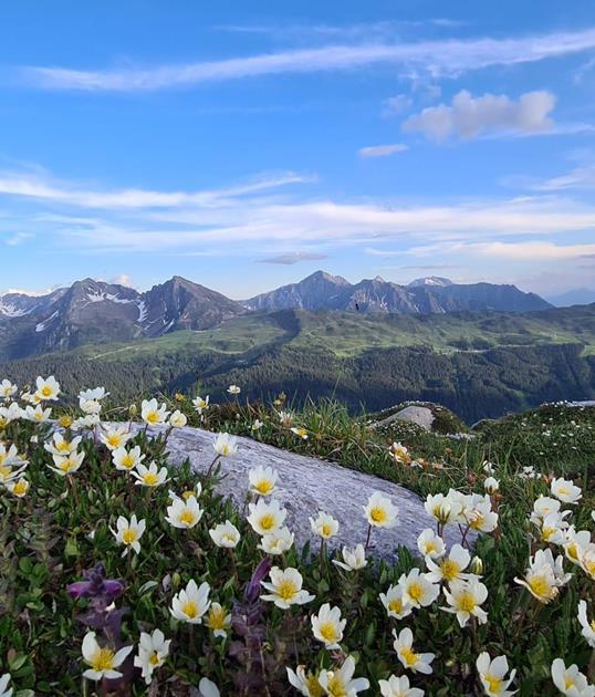 mareiter-stein-22-06-21-4